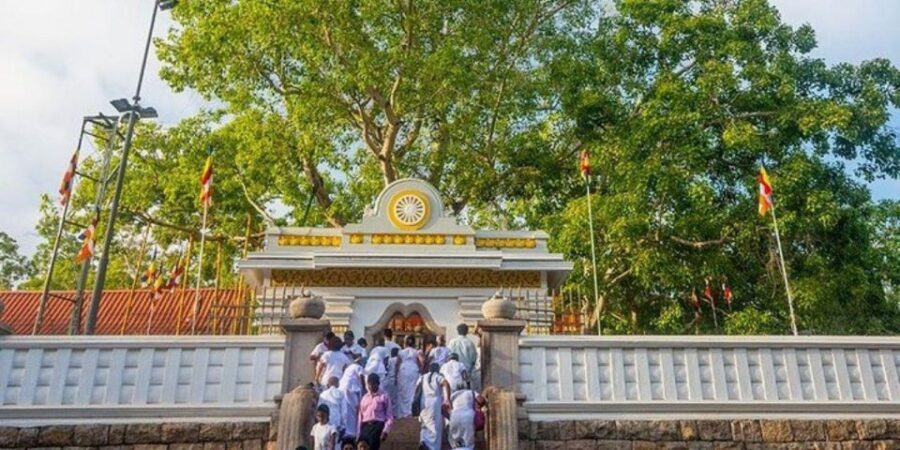 Anuradhapura: Sacred Kingdom Exploring Tour by Tuk-Tuk!