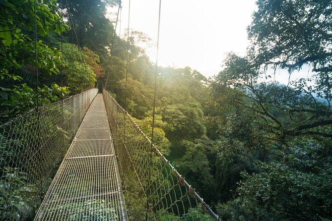 Arenal Hanging Bridges Hiking Tour