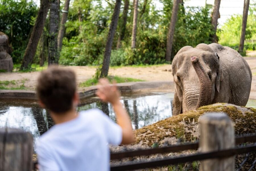 Arnhem: Burgers Zoo Entry Ticket