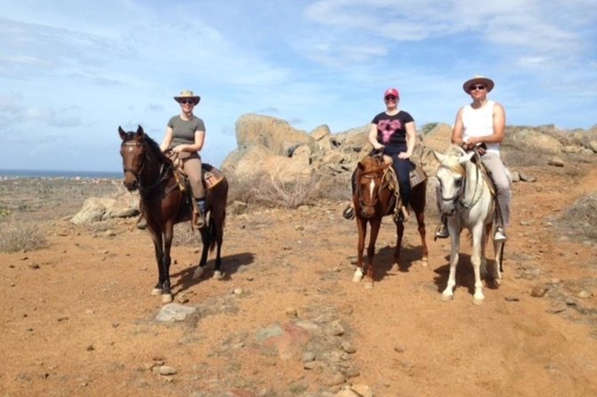 3 Best 2 Hour Tours and Experiences in Aruba
