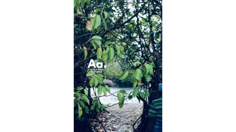 Arugambay: Mangrove Watching in Pottuvil Lagoon