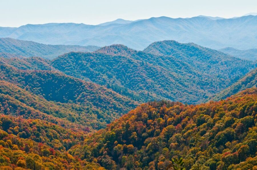 Asheville: Blue Ridge Mountains Tour for Children!