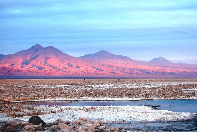 Atacama Salt Flat & Piedras Rojas Tour From San Pedro De Atacama