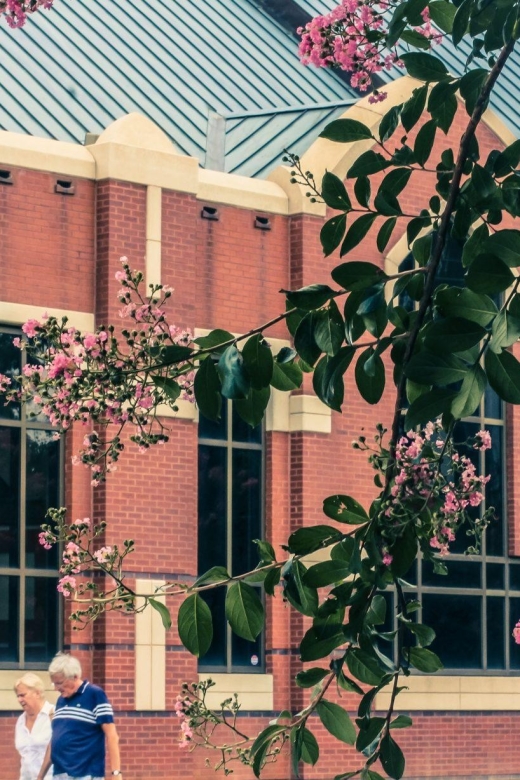 Atlanta's Best and Historic Treasures – Private Walking Tour - Tour Overview