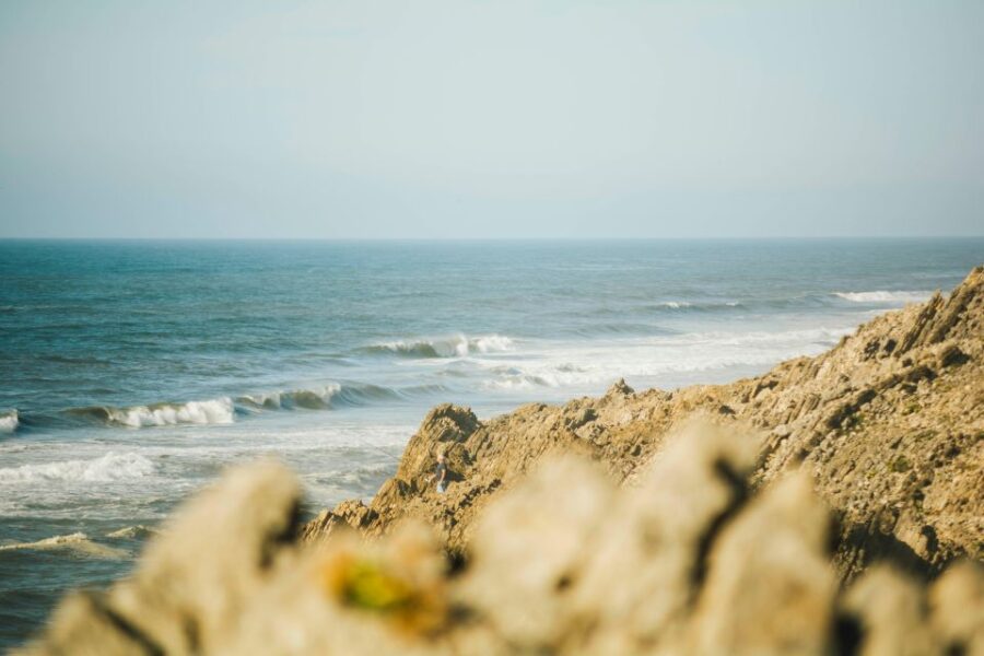 Best Guided Tours In Sao Martinho Do Porto