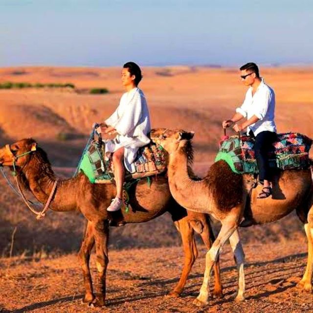 Atlas Mountains and Berber Villages & Waterfall & Camel Ride