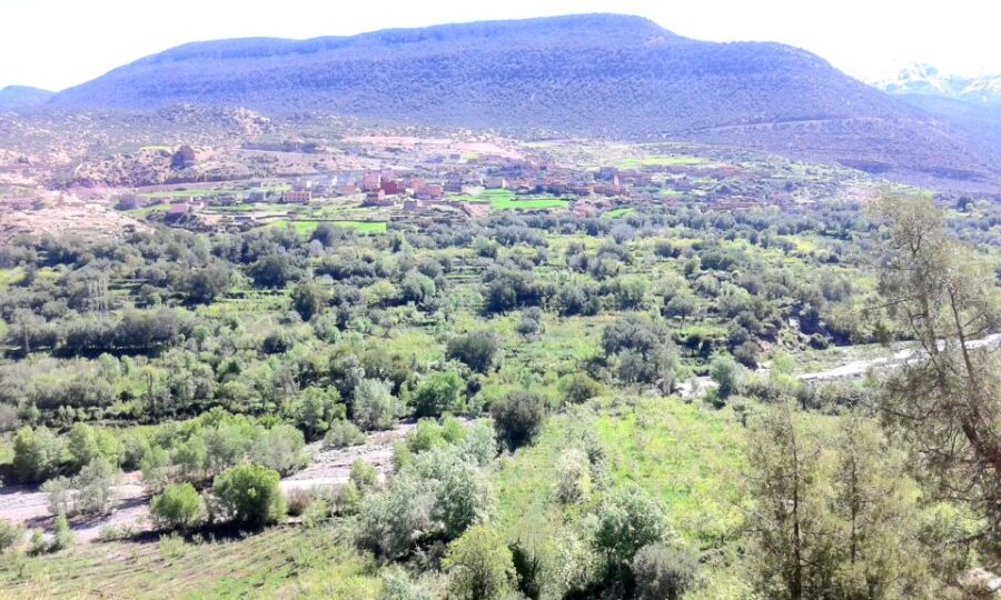Atlas Mountains: Guided Day Trip With Camel Trekking - Overview and Pricing