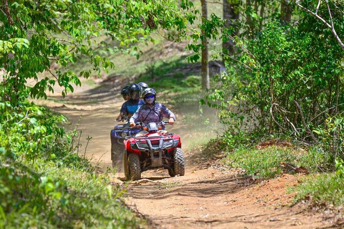 ATV River, Beach, Jungle Adventure and Crocodiles Hotspot From San Jose