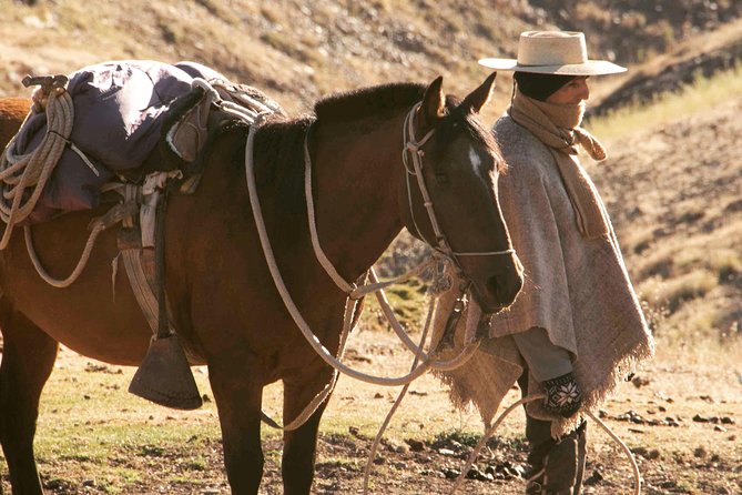 Authentic Horseback Ride With Chilean Cowboys in the Andes Close to Santiago!