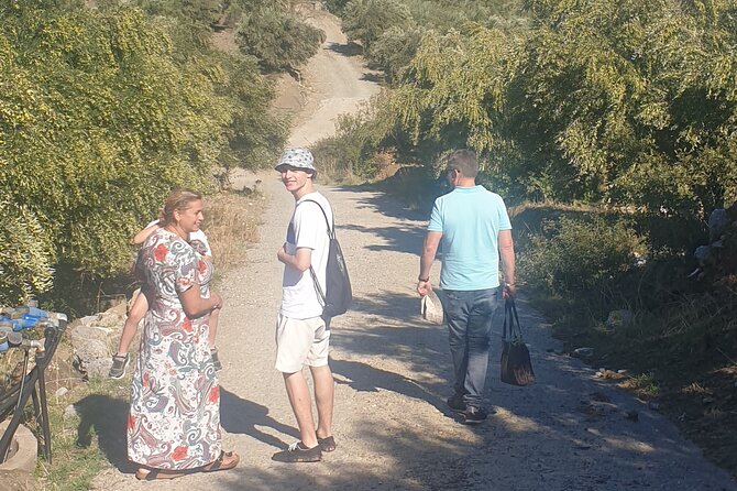 Authentic Olive Oil and Cultural Experience in Crete