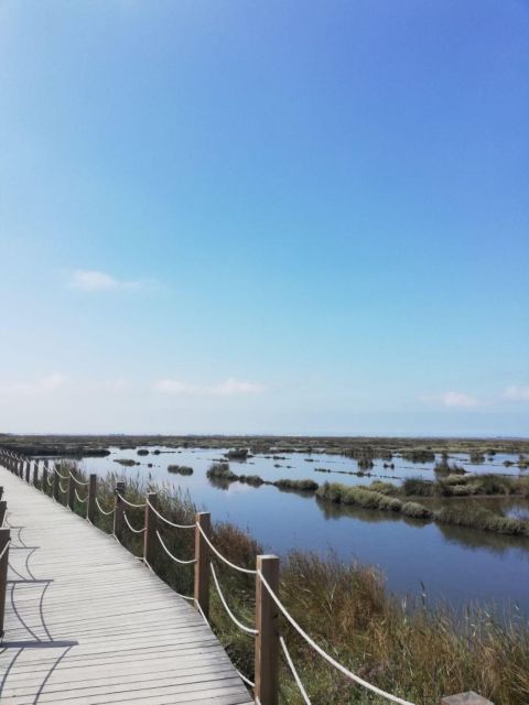 2 Best Bike Tours In Aveiro