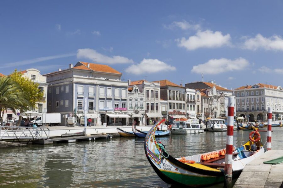 Aveiro: Half Day Tour With Boat Ride