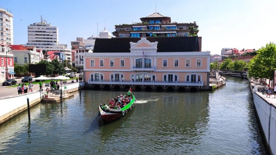 Aveiro Private Tour, Bairrada Wine Cellars & Roasted Piglet - Tour Overview and Pricing