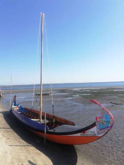 Best Tours In Ovar