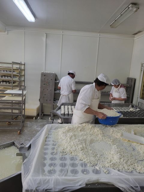 Azeitão – Cheese, Tiles and Wine