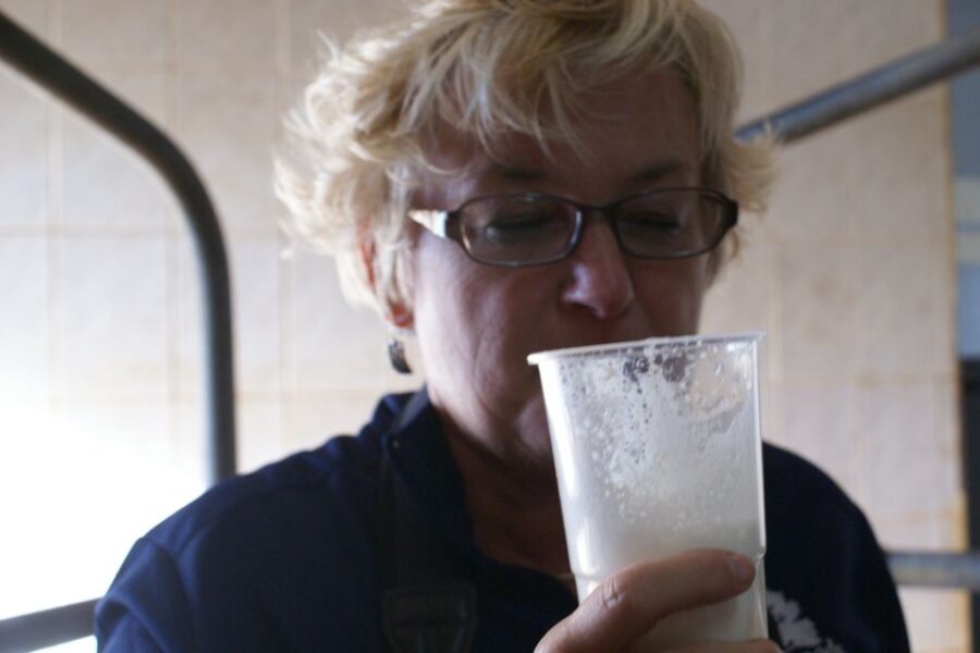 3 Best Lunch Experiences In Azores