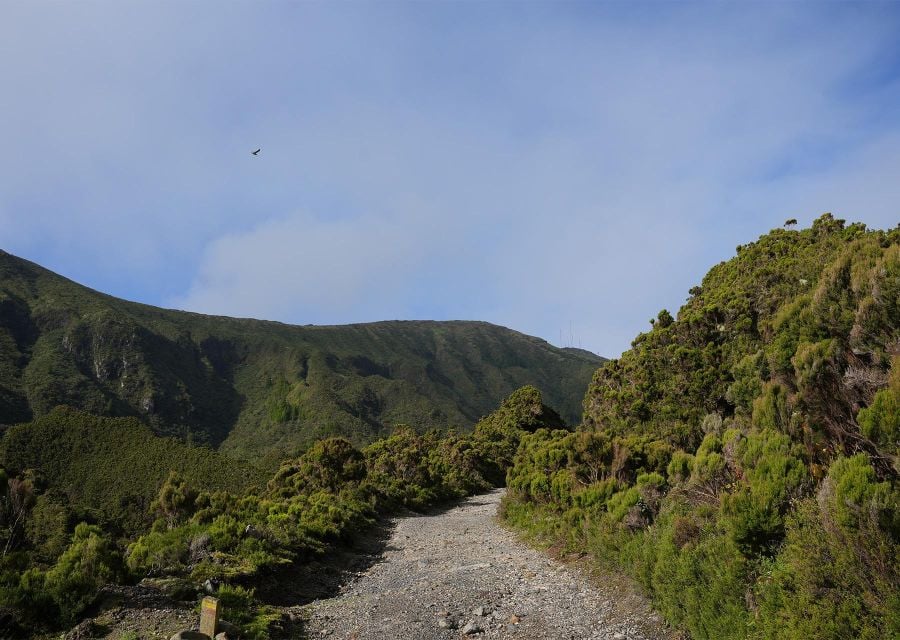 5 Best Hiking And Trekking Tours In Sao Miguel Island