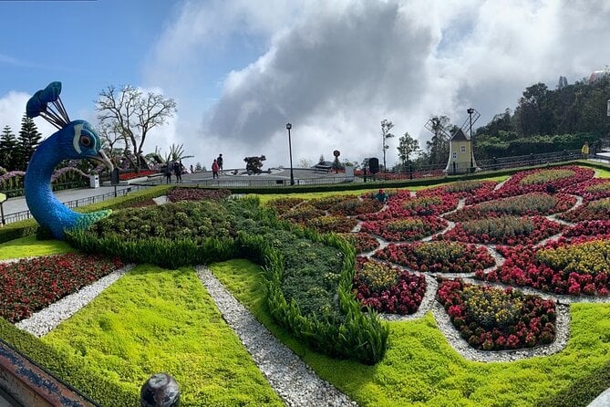 Ba Na Hills & Golden Bridge Tour From Da Nang - Tour Overview and Highlights