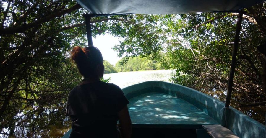 .Baby Turtle Release, Lagoon Boat Ride, and Crocodile Farm - Tour Overview