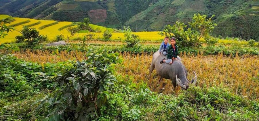 BAC HA - BAN LIEN 3 DAYS