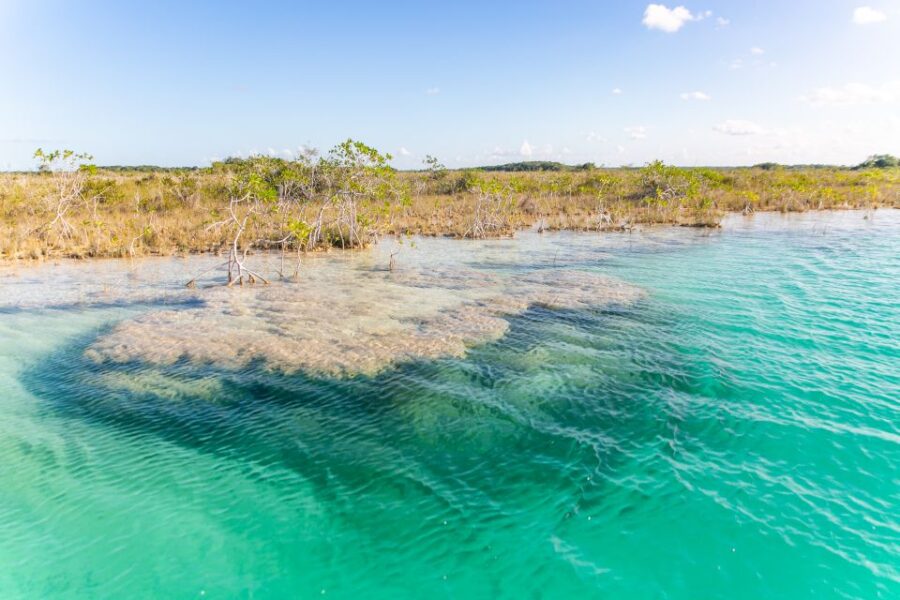 4 Best Cruises And Boat Tours In Bacalar Lagoon