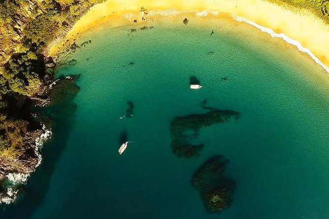 Baia Do Sancho Boat Tour