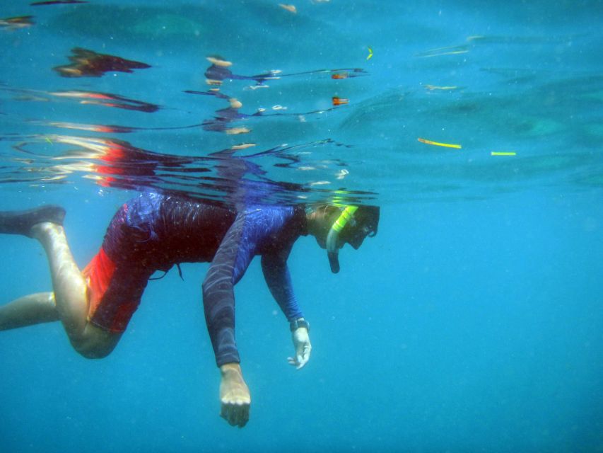 Bali: 1 Hour Snorkeling at Nusa Dua Beach