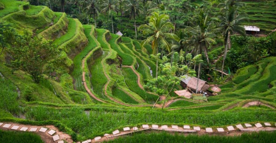 Bali: 8-Hour Ubud Highlights & Tanah Lot Temple Sunset Trip - Tour Overview