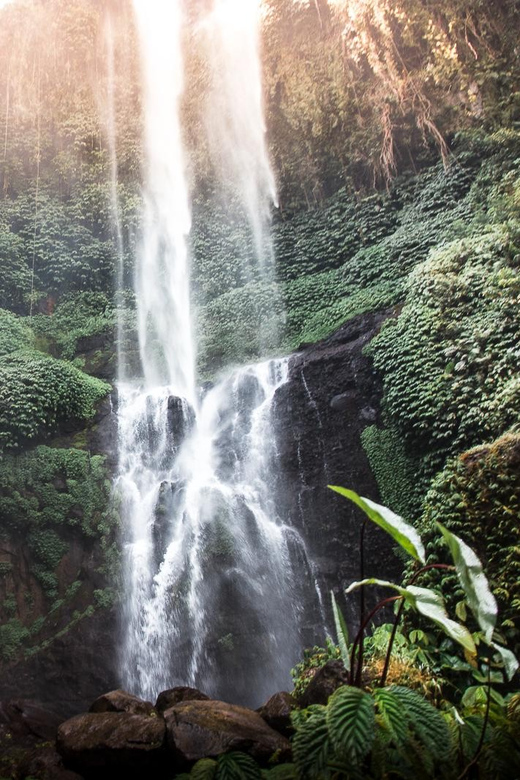 Bali: Aling Aling Waterfall and Sekumpul Waterfall Tour