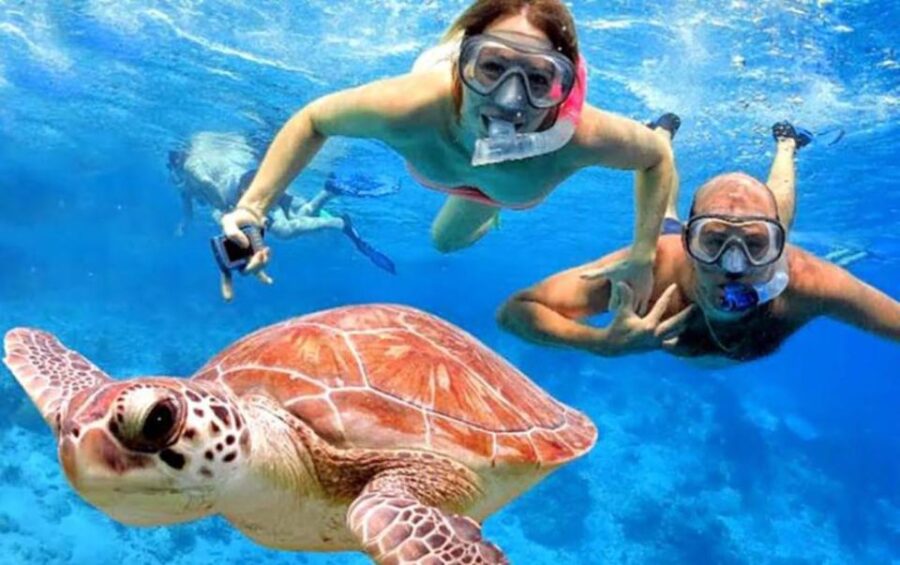 Bali: All-Inclusive Snorkeling at Blue Lagoon Beach
