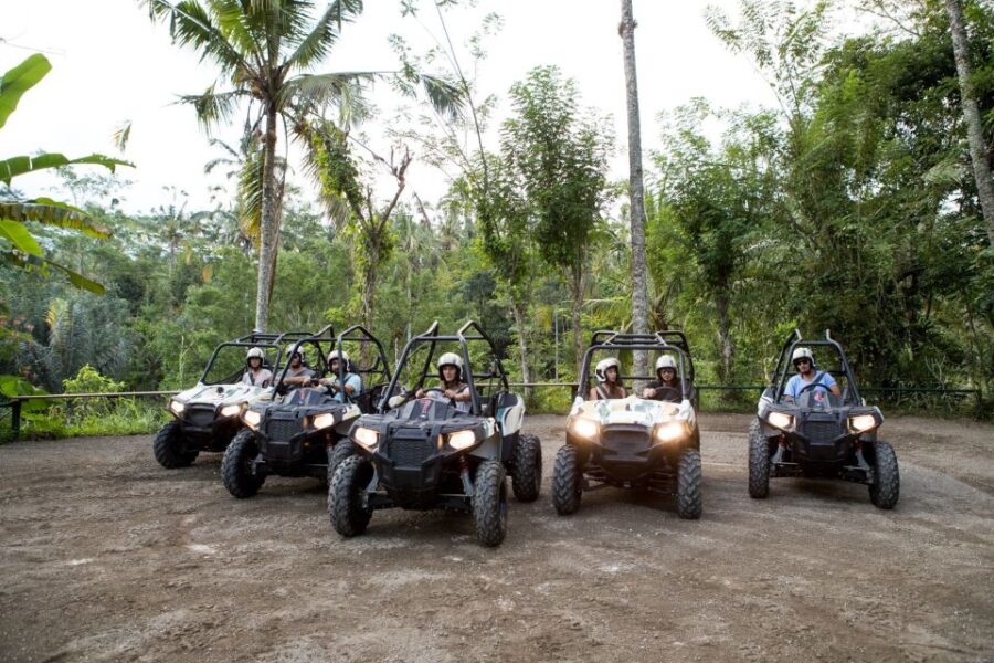 6 Best Quad Bike And ATV Tours In Bali