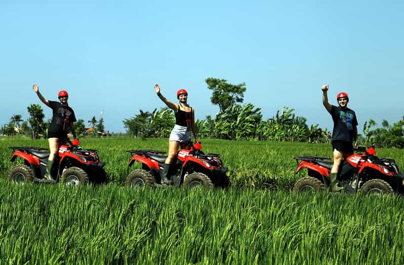 Bali ATV Tour: Thrilling Trails, Scenic Views & Pool Oasis! - Tour Overview