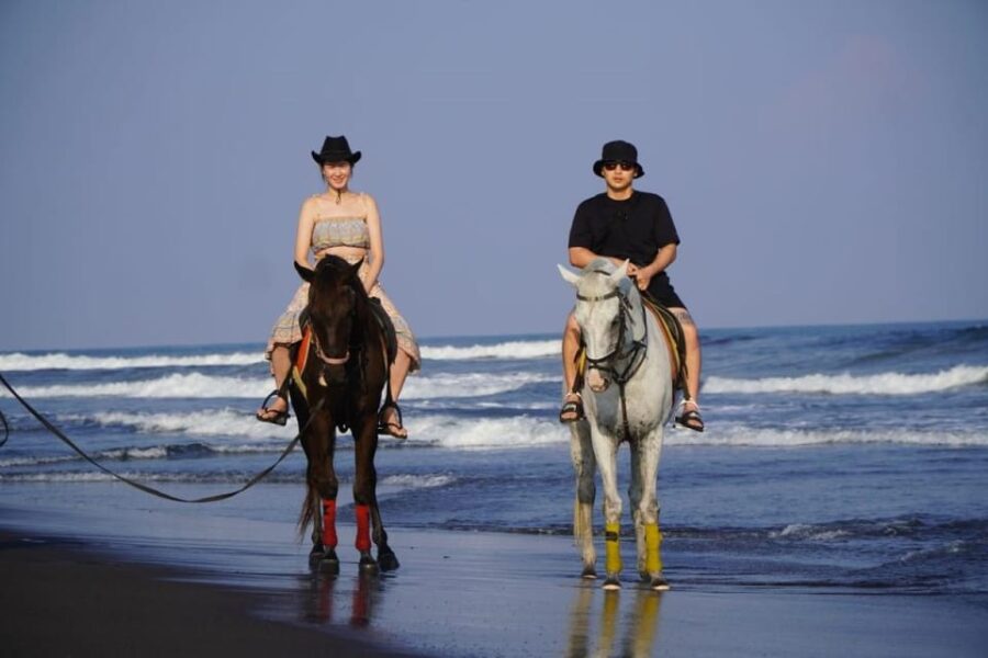 Bali: Bali Beach Horse Riding Experience