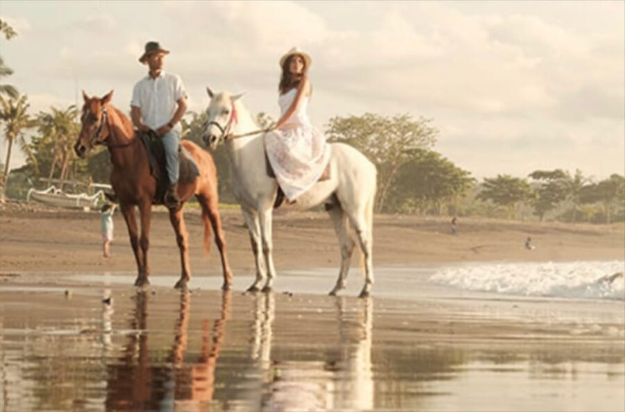 Bali: Beach Horse Riding - Activity Overview