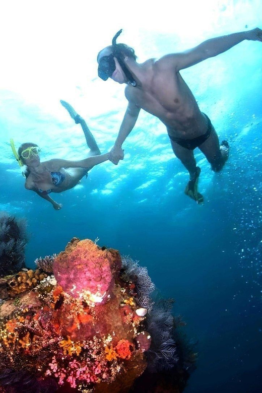 Bali: Blue Lagoon Snorkeling With Lunch & Transport