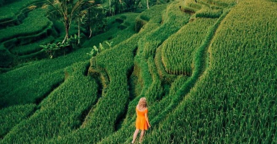 Bali: Clasic Bali Tour All Inclussive