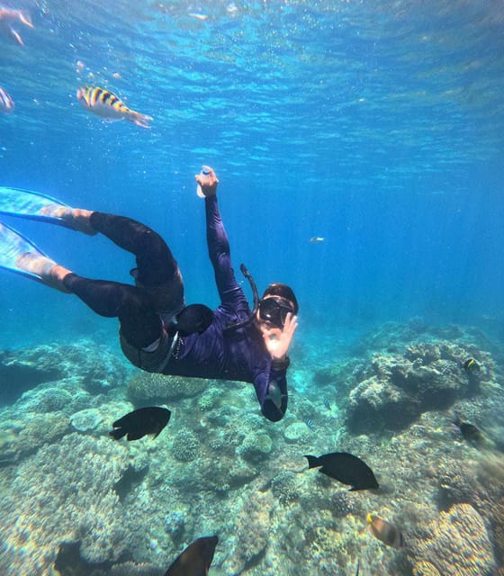 9 Best Snorkeling Experiences In Indonesia