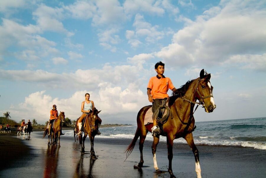 Bali Horse Riding on Black Sand Beach - Booking Information