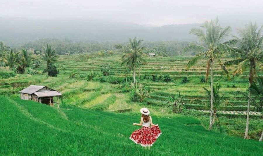 Bali : Jatiluwih Rice Terrace, Hidden Gem Waterfall & Temple