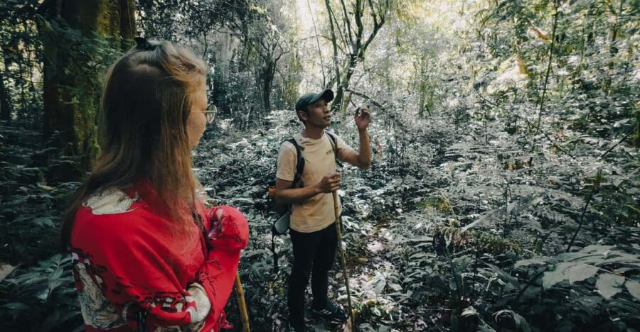 Bali: Jungle Hiking, Canoeing And Waterfall Adventure