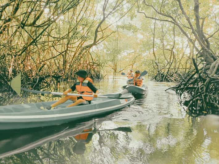 Bali: Kayaking With Mangrove Preserving and Turtle Release - Activity Overview