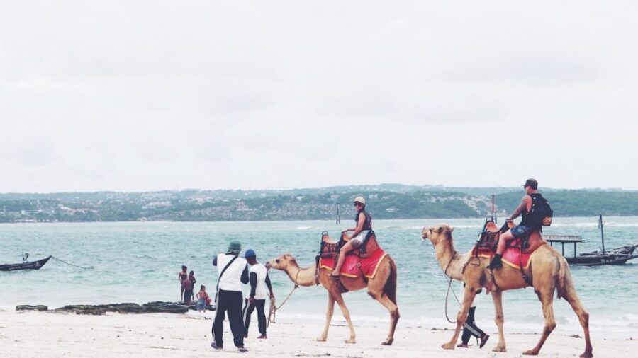 Bali: Kelan Beach Camel Rides Experiences - Experience Overview