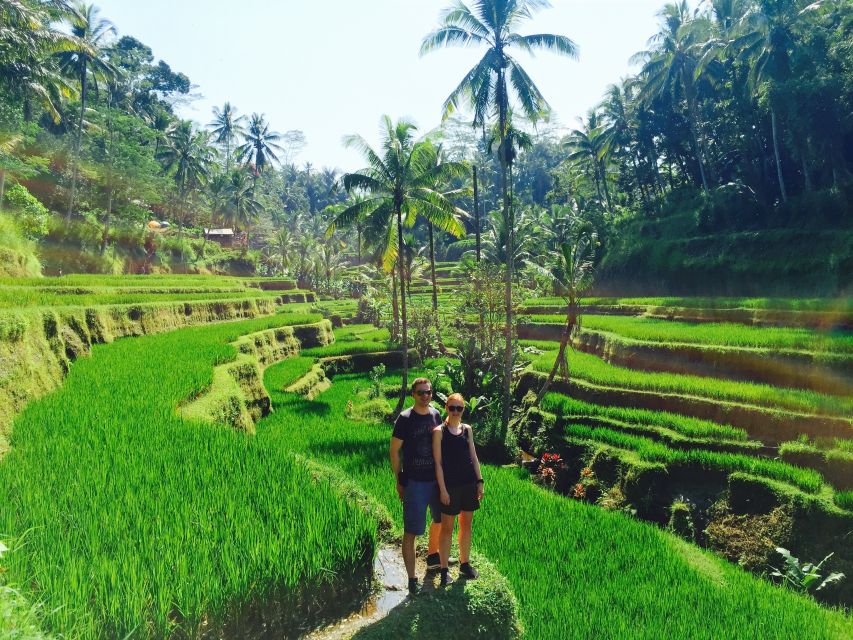 Bali: Leke-Leke Waterfall, Monkey Forest & Jungle Swing Tour