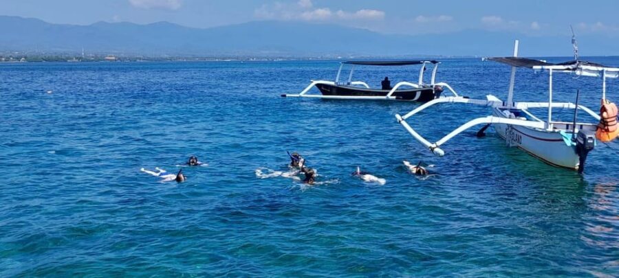 Bali: Lovina Dolphin Adventure With Breakfast and Snorkling.
