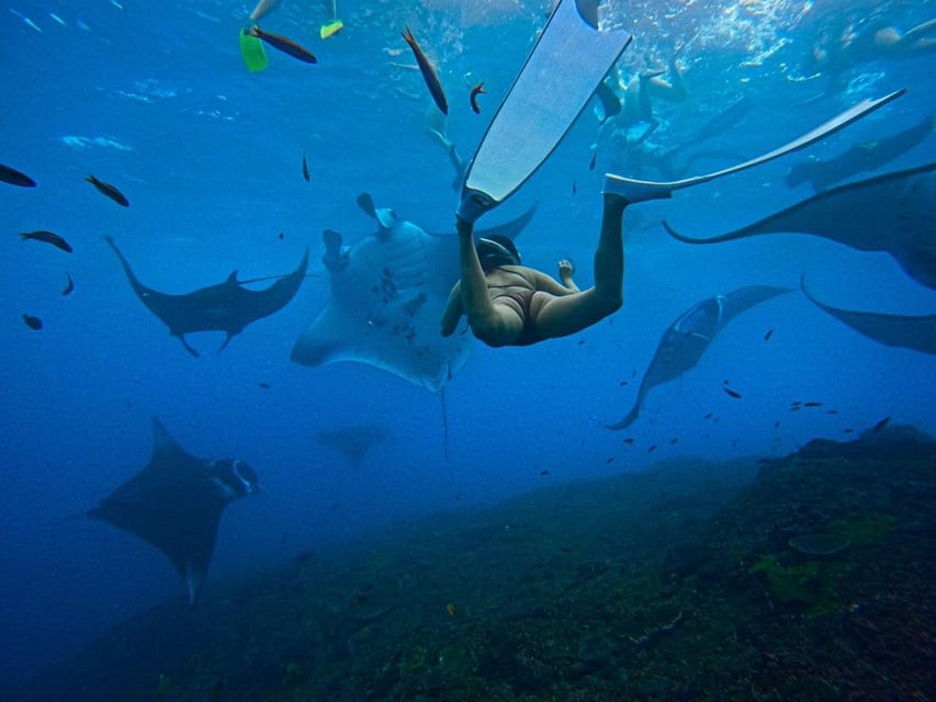 Bali : Nusa Penida Excursion Tour to See Manta Rays by Boat