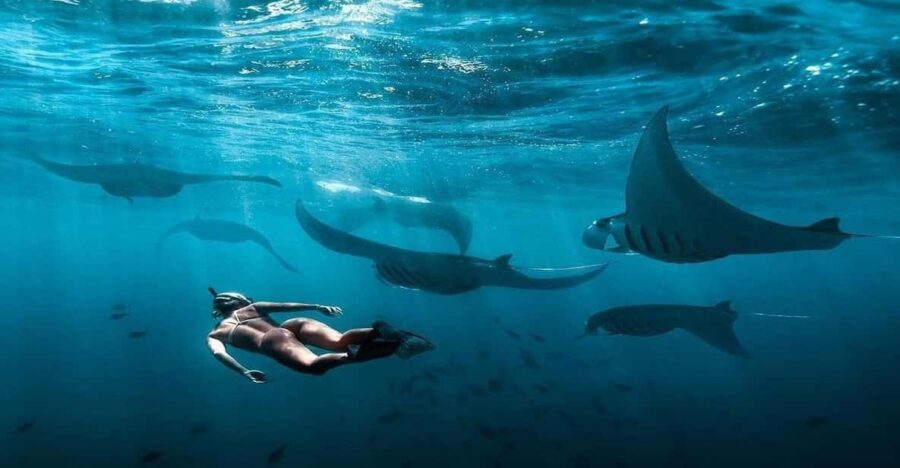 Bali: Nusa Penida Snorkeling Adventure and Island Tour