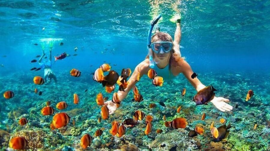 15 Best Snorkeling Experiences In Batoemadeg