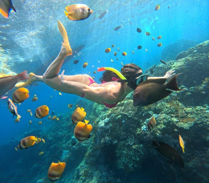 Bali: Nusa Penida Snorkeling and West Tour With Transfers