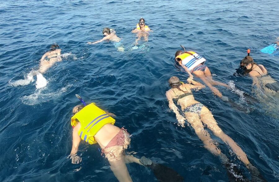 Bali: Nusa Penida Snorkeling Tour With Hotel Transfers