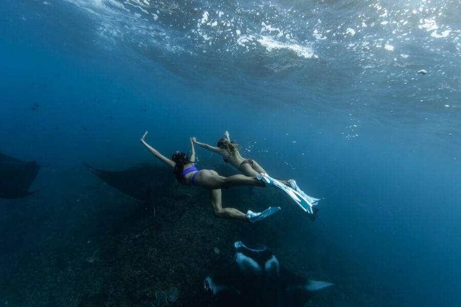 6 Best Snorkeling Experiences In Denpasar